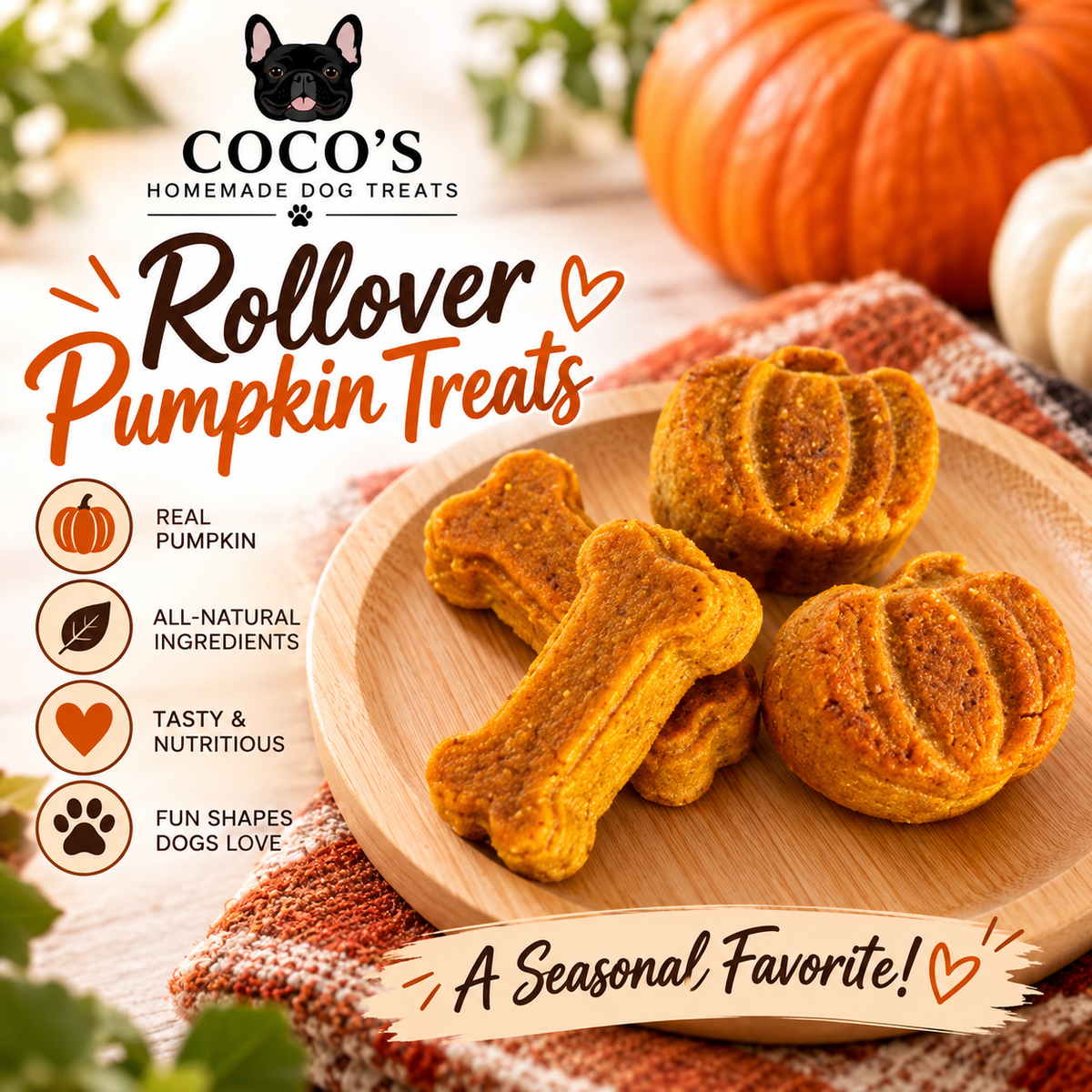 Treat Lover's Bundle