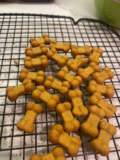 Rollover Soft Pumpkin Treats